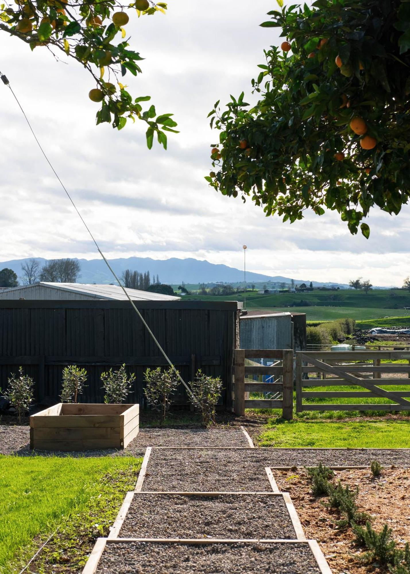 Willow View Cottage - Beautiful Farm Views Close To Waitomo Otorohanga Ngoại thất bức ảnh